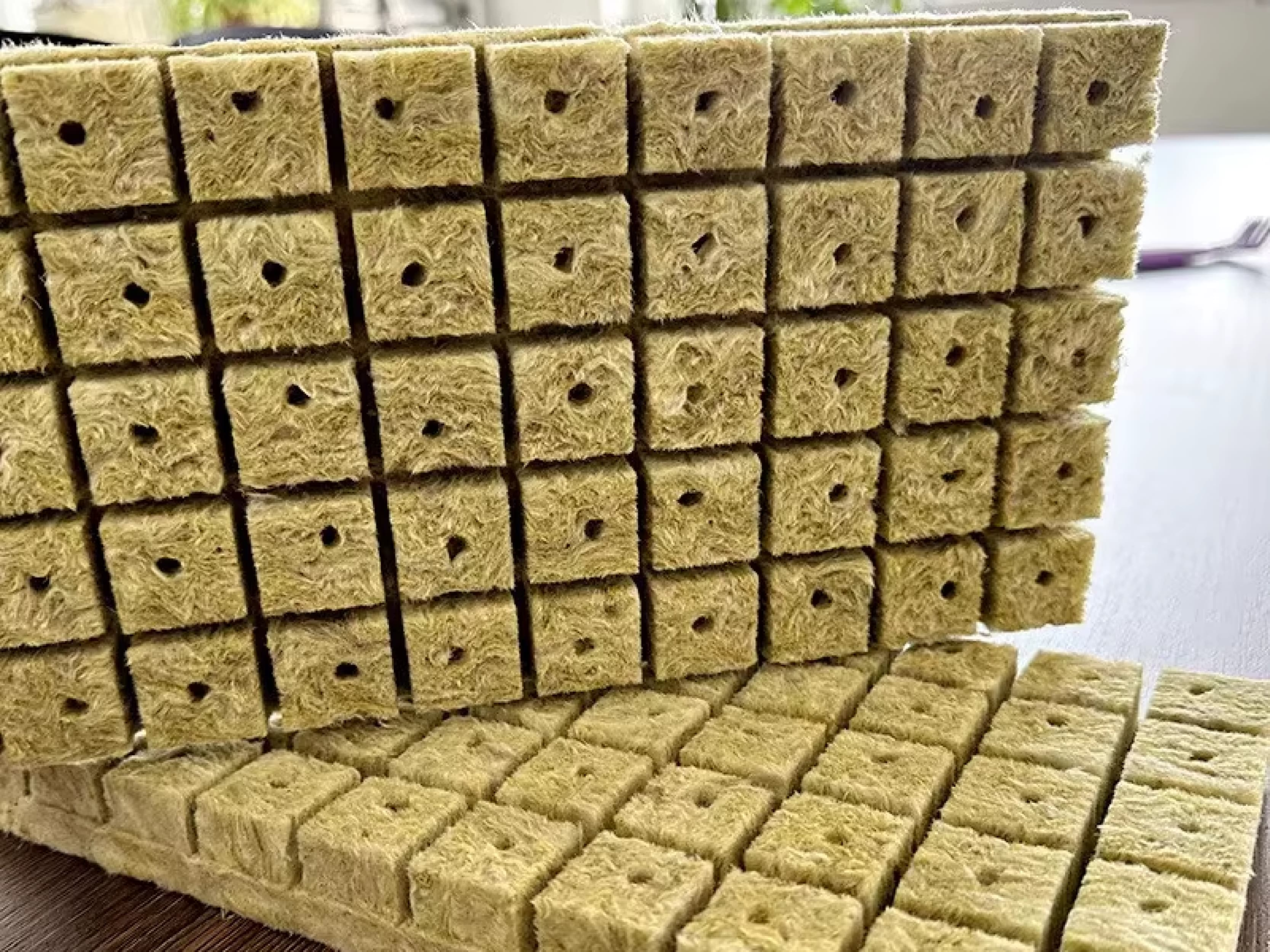 Rockwool Cubes