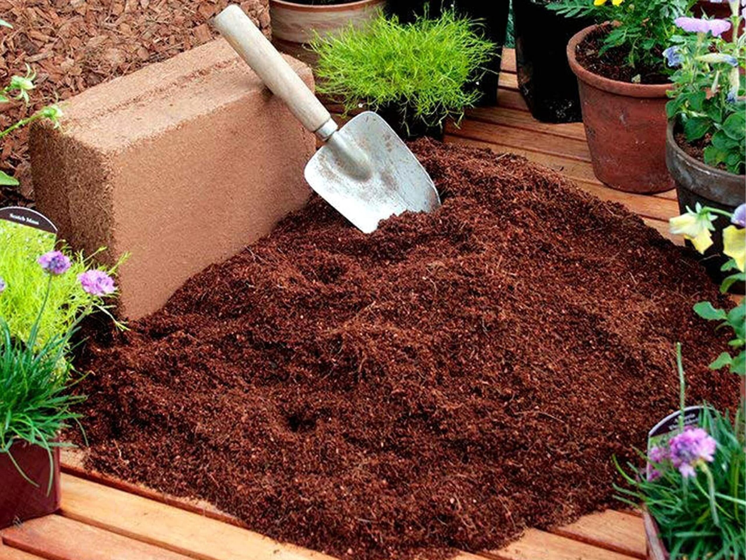 Loose Cocopeat