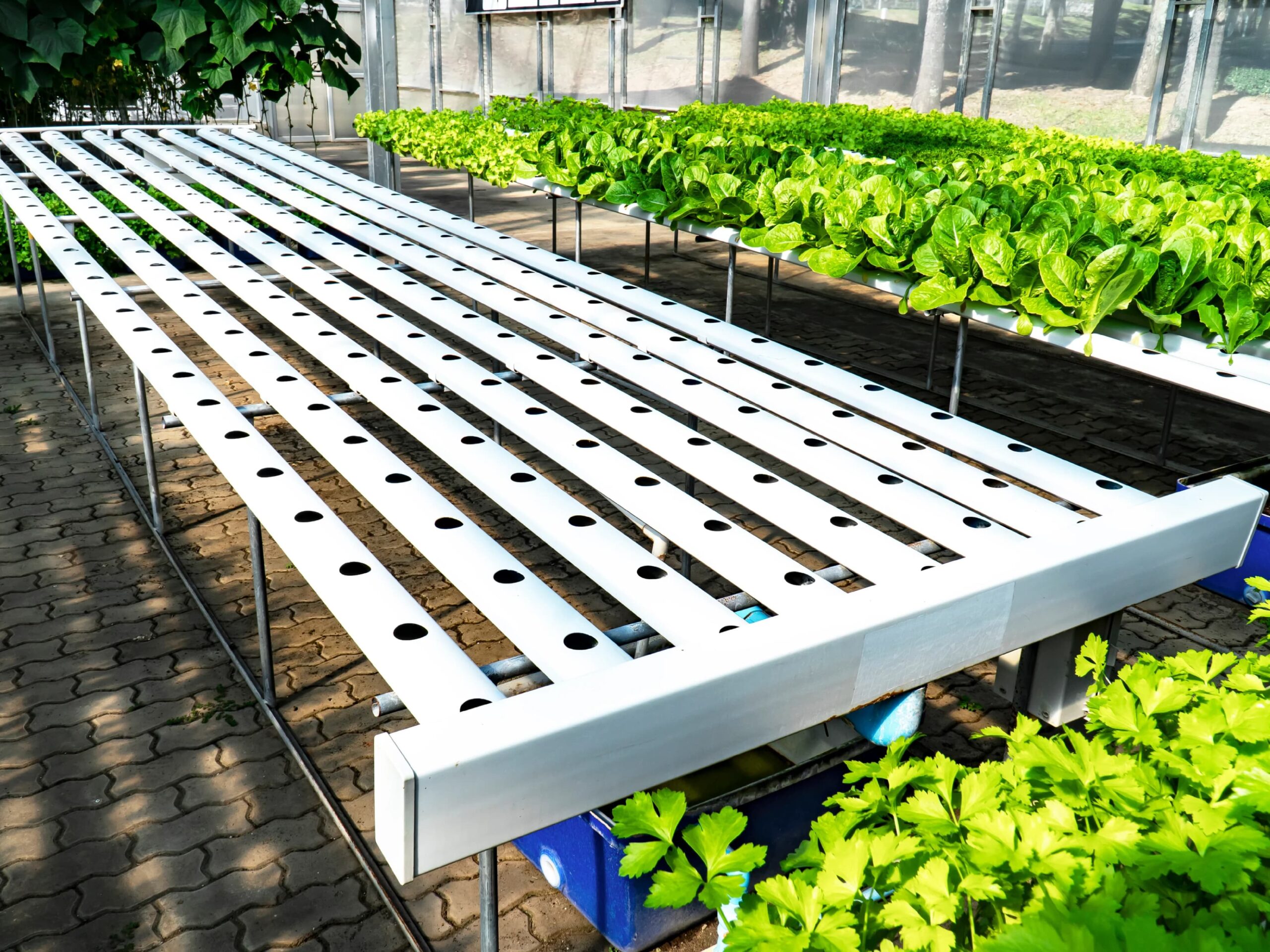 NFT System